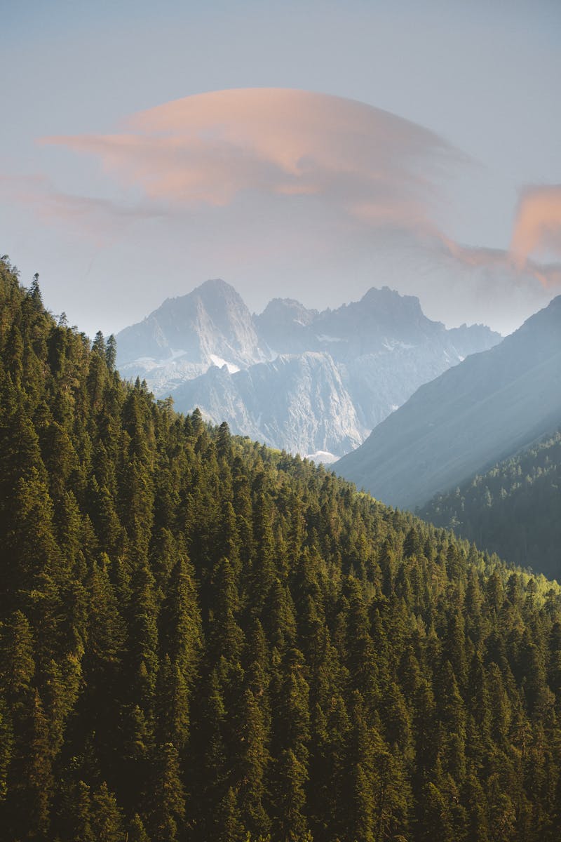 Redefining Masculinity Through Nature Connection