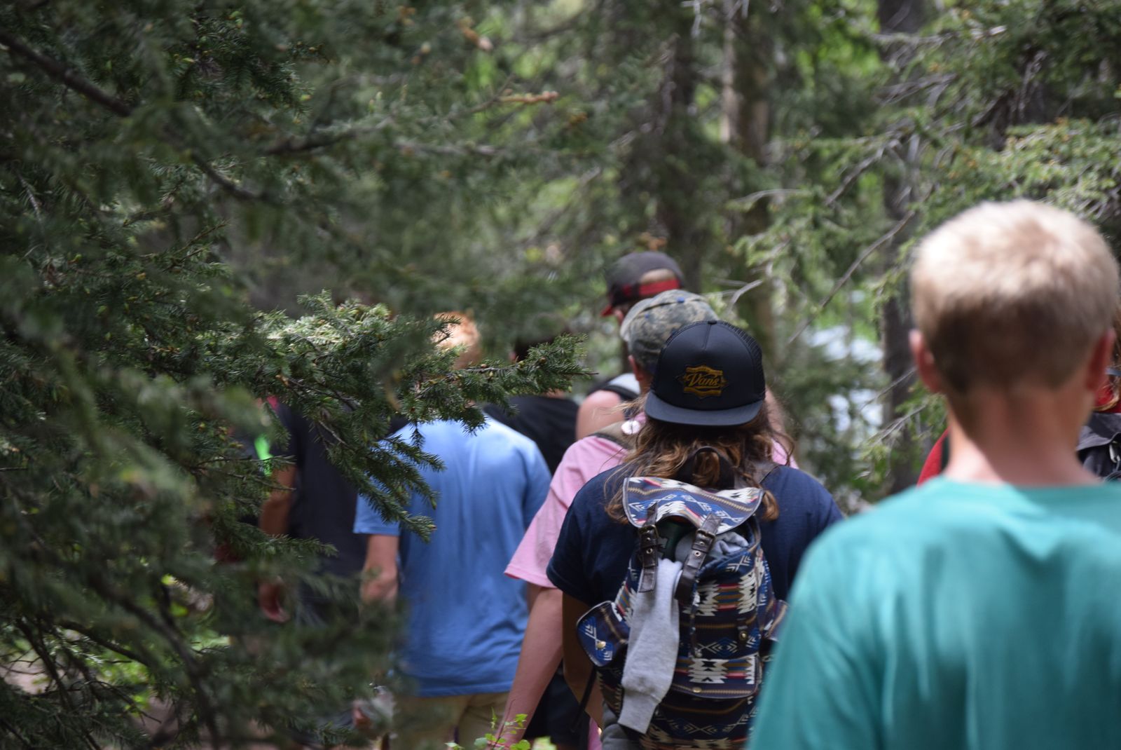 Teenagers hiking through a lush green forest