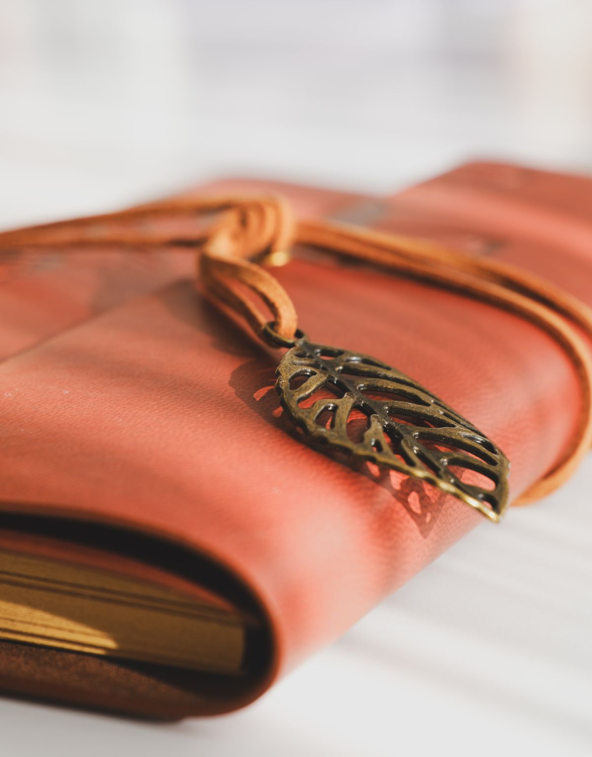 Field Journal