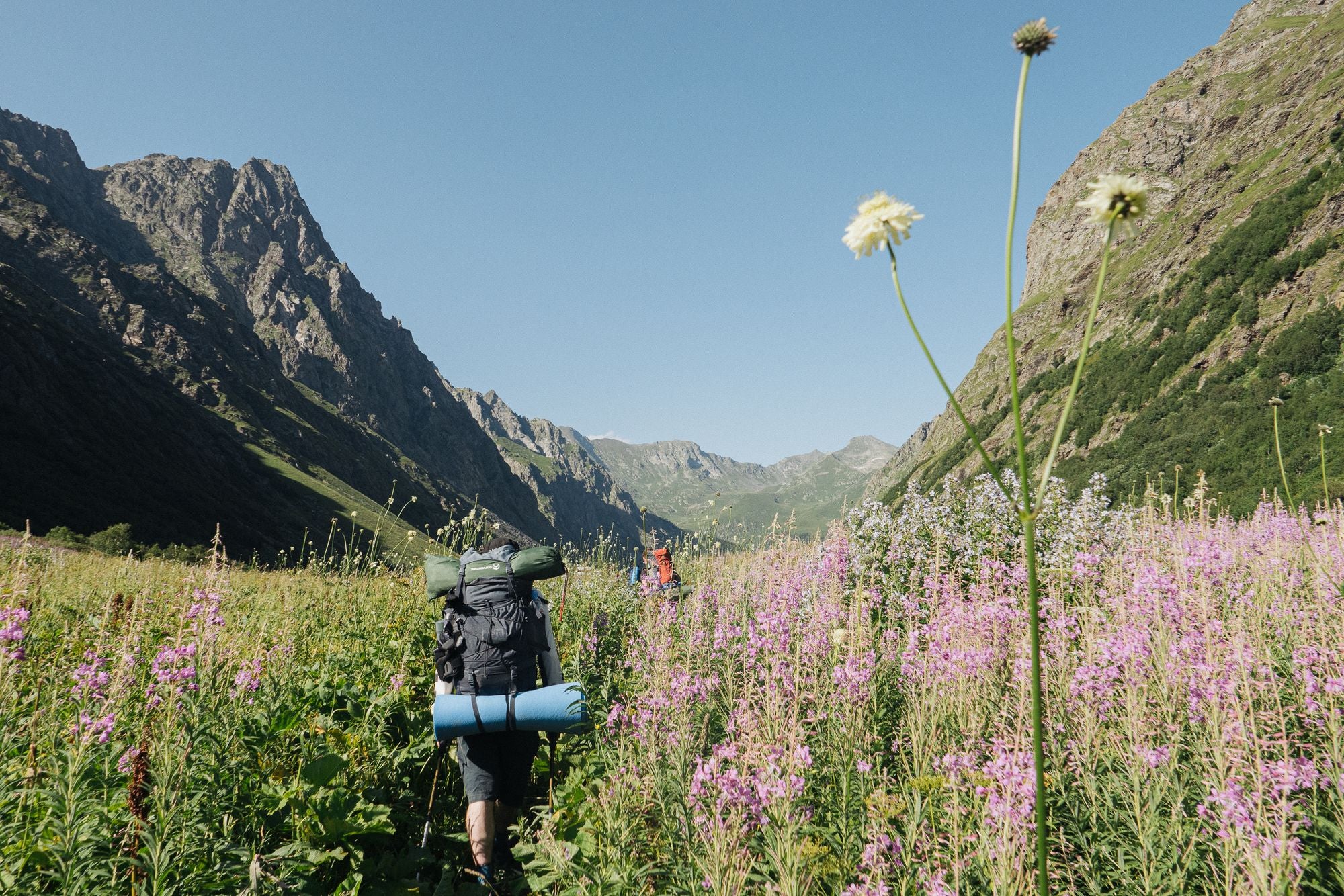 Backpackers hiking through a flower-filled mountain valley