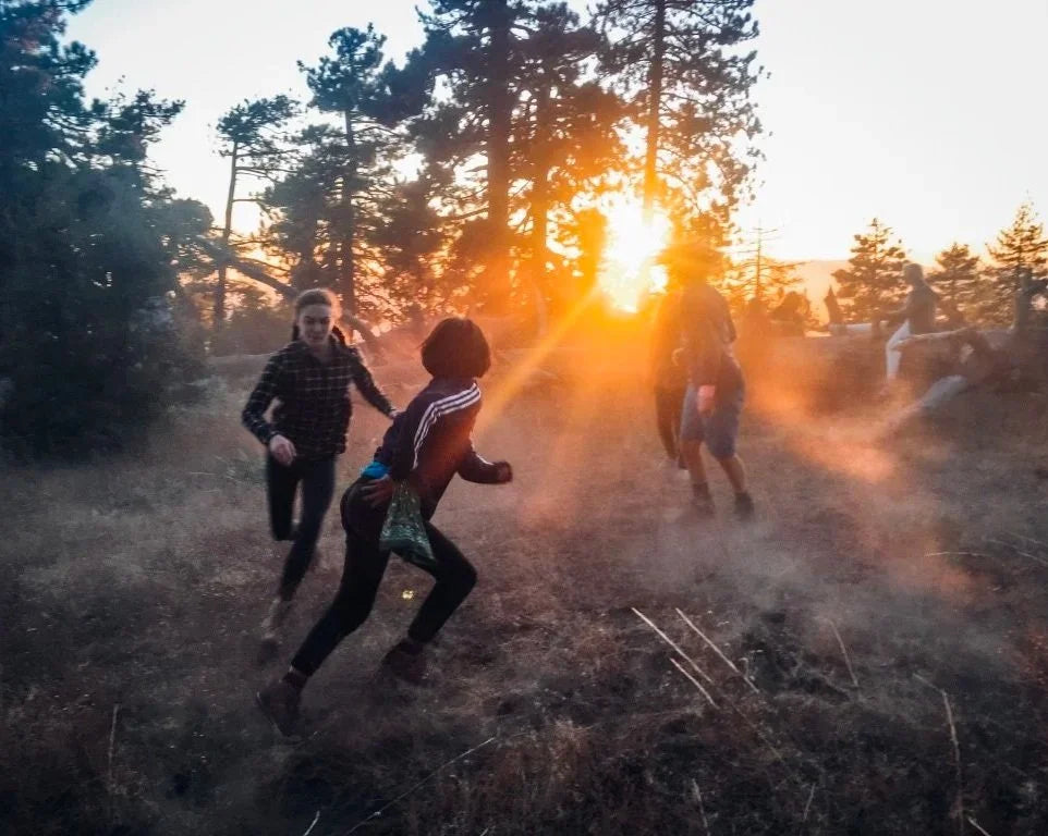 Children running through a dusty forest at sunset