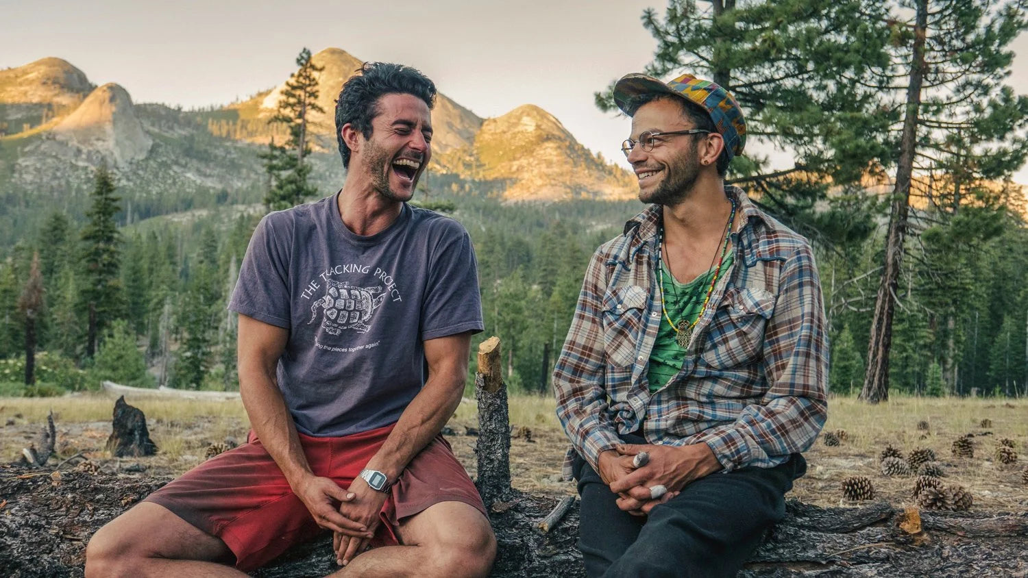 Two friends talking on a log